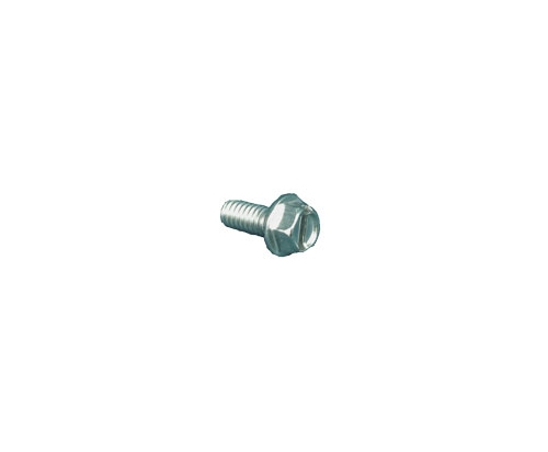 Hex Washer HD Screw