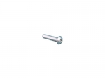 Mounting Screw