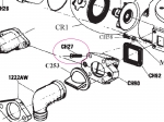 Crown Head Screw