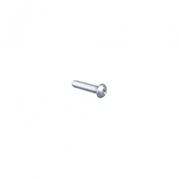 Mounting Screw